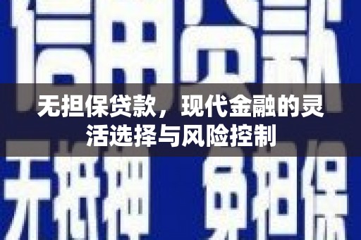 南召无担保贷款，现代金融的灵活选择与风险控制