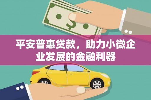 南召平安普惠贷款，助力小微企业发展的金融利器