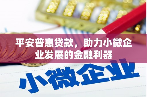 南召平安普惠贷款，助力小微企业发展的金融利器