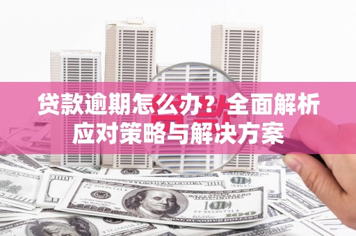 南召贷款逾期怎么办？全面解析应对策略与解决方案