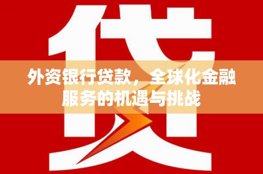 南召外资银行贷款，全球化金融服务的机遇与挑战