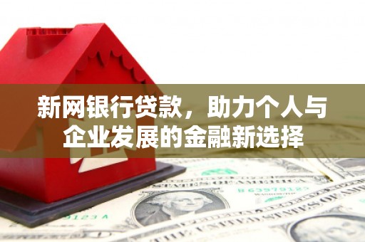 南召新网银行贷款，助力个人与企业发展的金融新选择