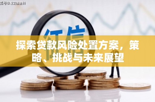 南召探索贷款风险处置方案，策略、挑战与未来展望