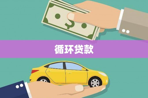 南召循环贷款