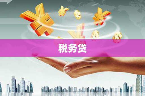 南召税务贷
