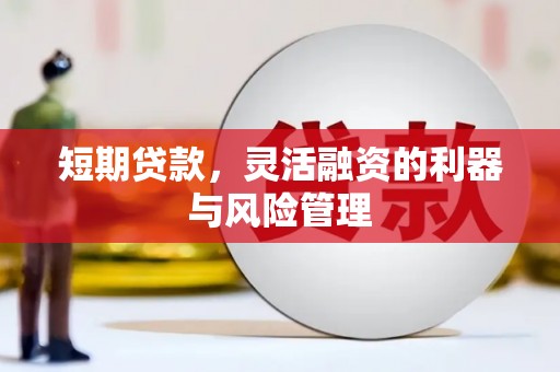 南召短期贷款，灵活融资的利器与风险管理