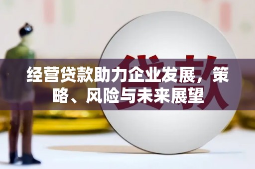 南召经营贷款助力企业发展，策略、风险与未来展望