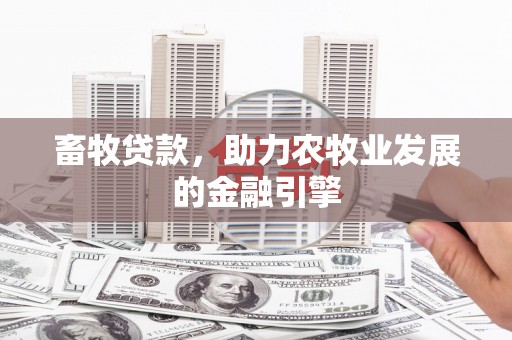 南召畜牧贷款，助力农牧业发展的金融引擎