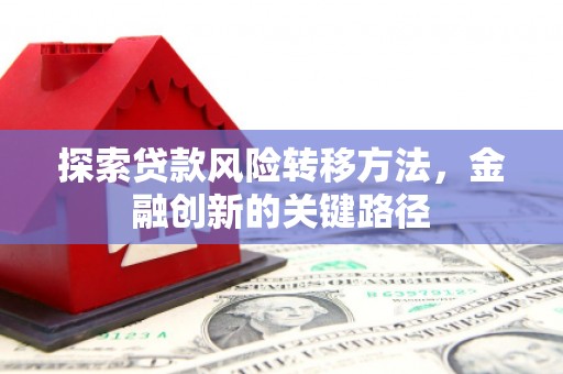 南召探索贷款风险转移方法，金融创新的关键路径