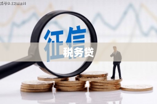 南召税务贷
