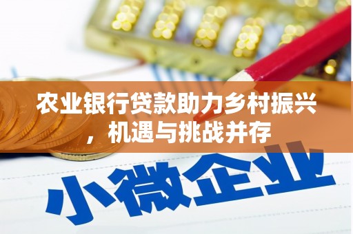 南召农业银行贷款助力乡村振兴，机遇与挑战并存