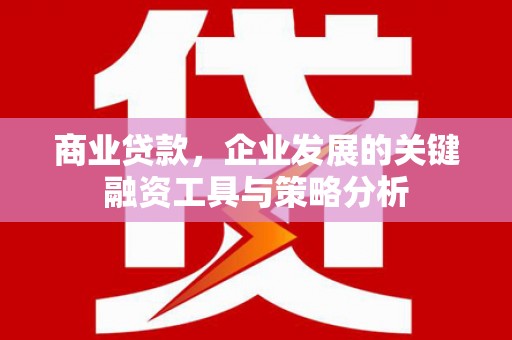南召商业贷款，企业发展的关键融资工具与策略分析