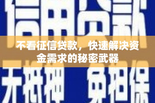 南召不看征信贷款，快速解决资金需求的秘密武器