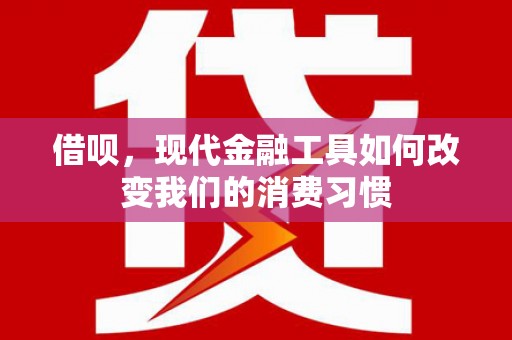 南召借呗，现代金融工具如何改变我们的消费习惯