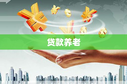 南召贷款养老
