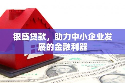 南召银盛贷款，助力中小企业发展的金融利器