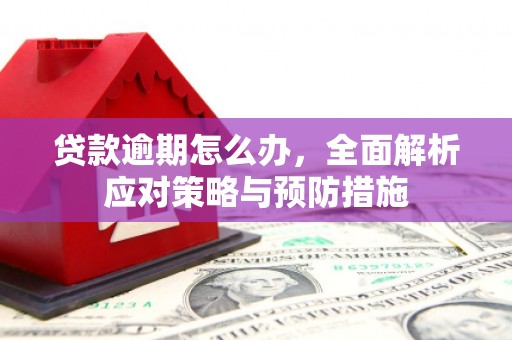 南召贷款逾期怎么办，全面解析应对策略与预防措施