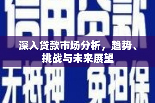 南召深入贷款市场分析，趋势、挑战与未来展望