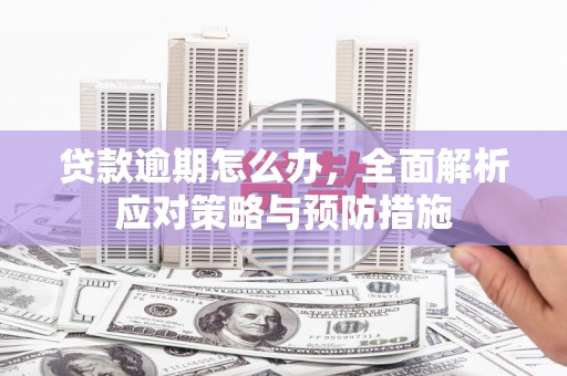 南召贷款逾期怎么办，全面解析应对策略与预防措施