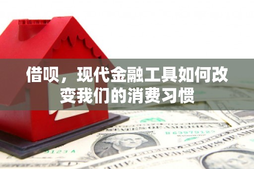 南召借呗，现代金融工具如何改变我们的消费习惯