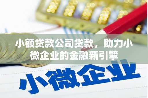 南召小额贷款公司贷款，助力小微企业的金融新引擎