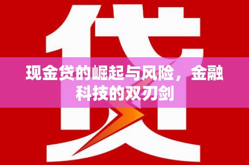 南召现金贷的崛起与风险，金融科技的双刃剑