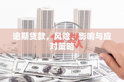 南召逾期贷款，风险、影响与应对策略