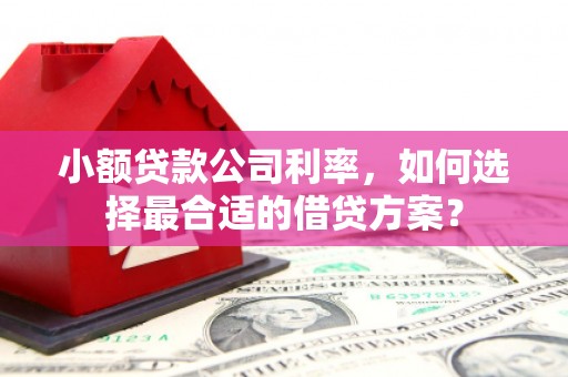 南召小额贷款公司利率，如何选择最合适的借贷方案？