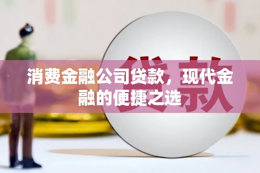 南召消费金融公司贷款，现代金融的便捷之选