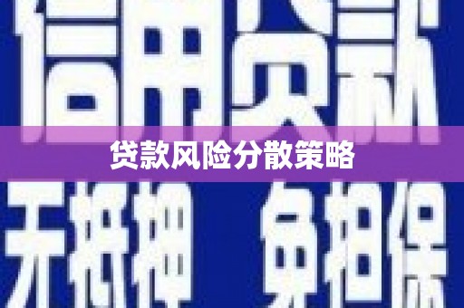 南召贷款风险分散策略