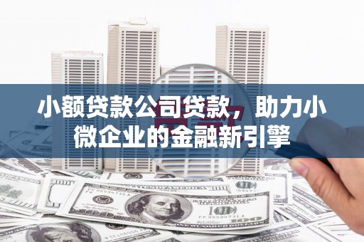 南召小额贷款公司贷款，助力小微企业的金融新引擎