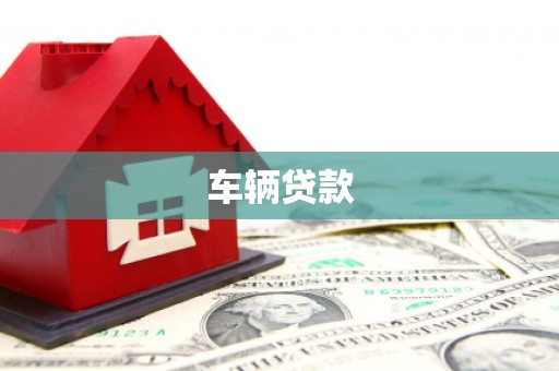 南召车辆贷款