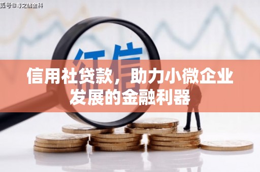 南召信用社贷款，助力小微企业发展的金融利器