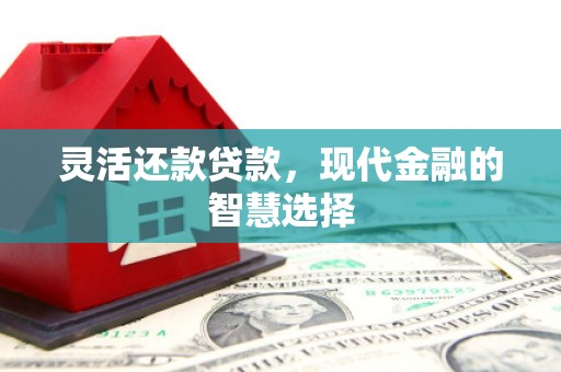 南召灵活还款贷款，现代金融的智慧选择