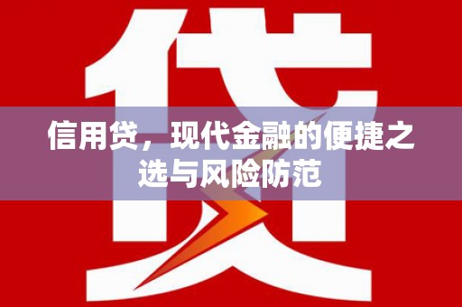南召信用贷，现代金融的便捷之选与风险防范
