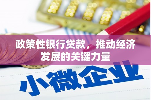 南召政策性银行贷款，推动经济发展的关键力量