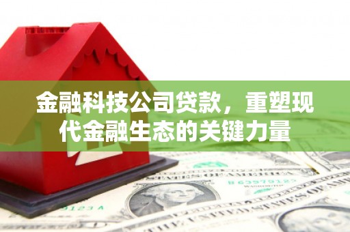 南召金融科技公司贷款，重塑现代金融生态的关键力量