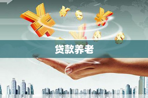 南召贷款养老