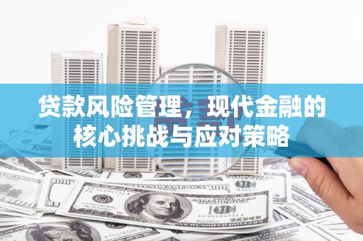 南召贷款风险管理，现代金融的核心挑战与应对策略