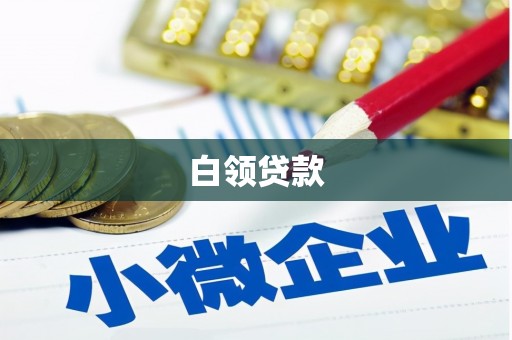 南召白领贷款