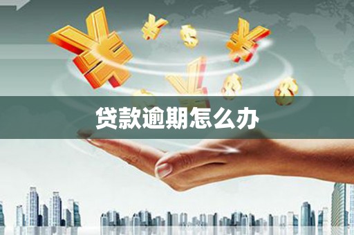 南召贷款逾期怎么办