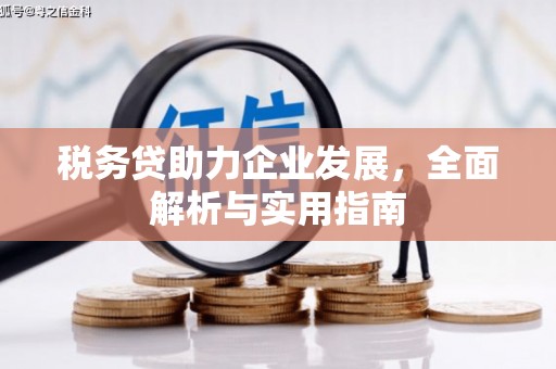 南召税务贷助力企业发展，全面解析与实用指南