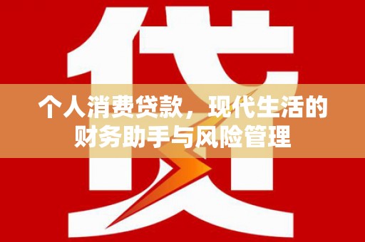 南召个人消费贷款，现代生活的财务助手与风险管理