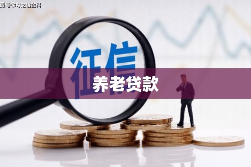 南召养老贷款