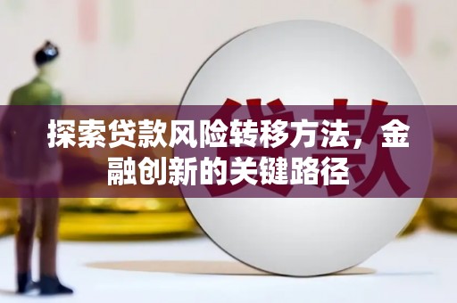 南召探索贷款风险转移方法，金融创新的关键路径