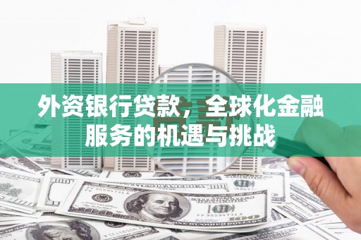 南召外资银行贷款，全球化金融服务的机遇与挑战