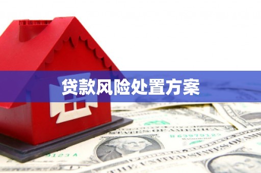 南召贷款风险处置方案