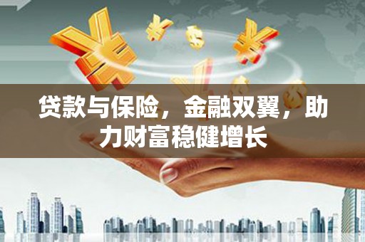 南召贷款与保险，金融双翼，助力财富稳健增长