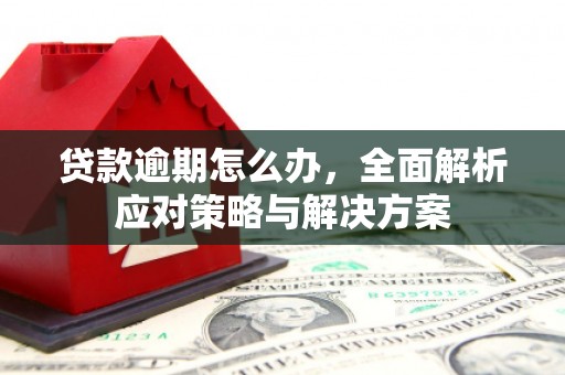 南召贷款逾期怎么办，全面解析应对策略与解决方案