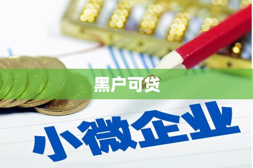 南召黑户可贷